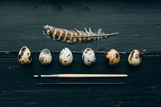 Unpacking the Pink Credit Card: More Than Just a Pretty Face?