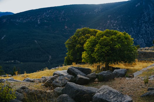 Decoding the Allure of a Dollar a Day Insurance