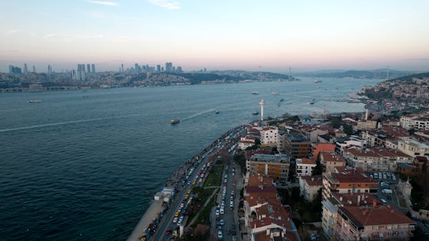 Decoding mintonk com: Is it Your Missing Piece?